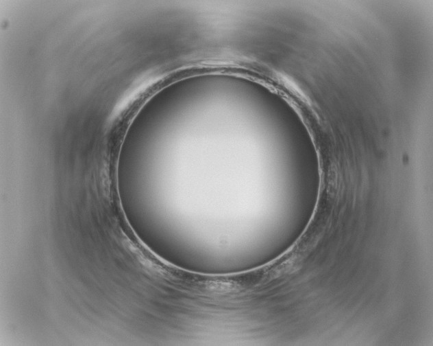 X0000060261456200511112008