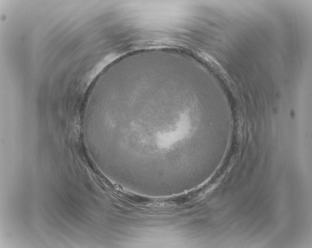 X0000060261457200511112008