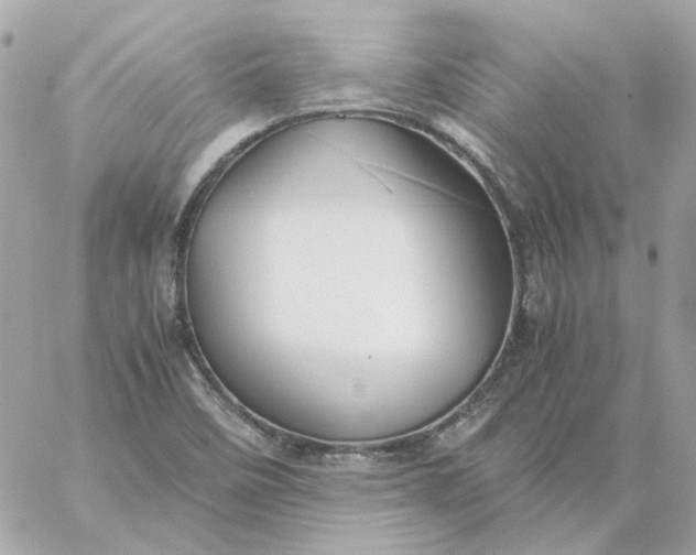 X0000060261458200511112008