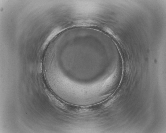 X0000060261459200511112008