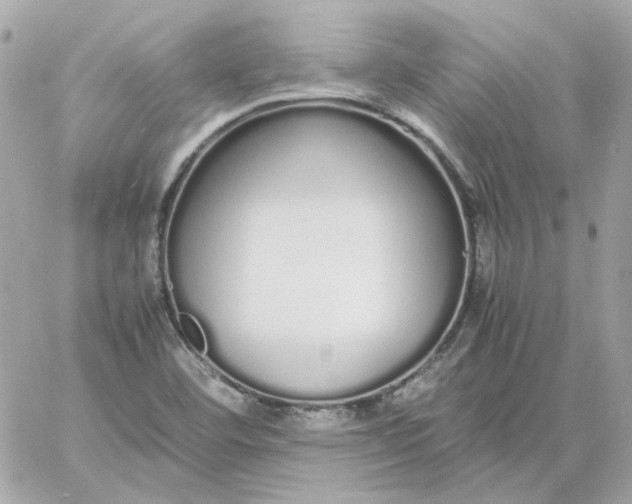 X0000060261460200511112008