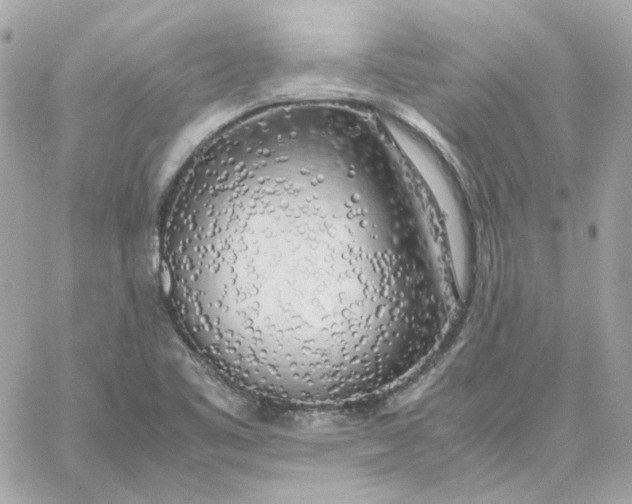 X0000060261461200511112008