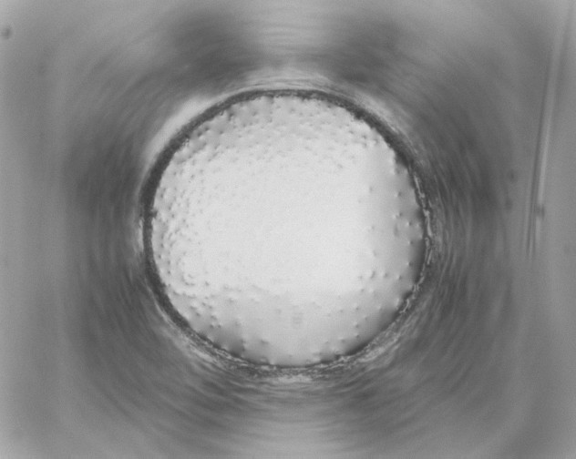 X0000060261462200511112008