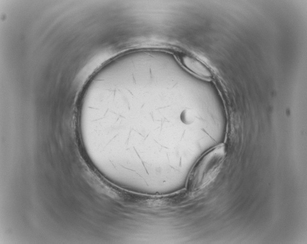 X0000060261463200511112008