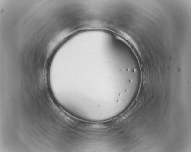 X0000060261464200511112008