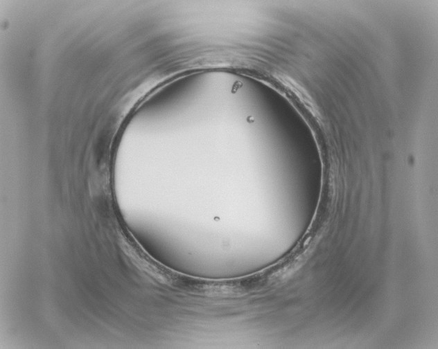 X0000060261465200511112008