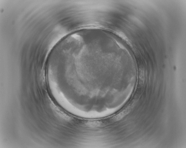 X0000060261466200511112008