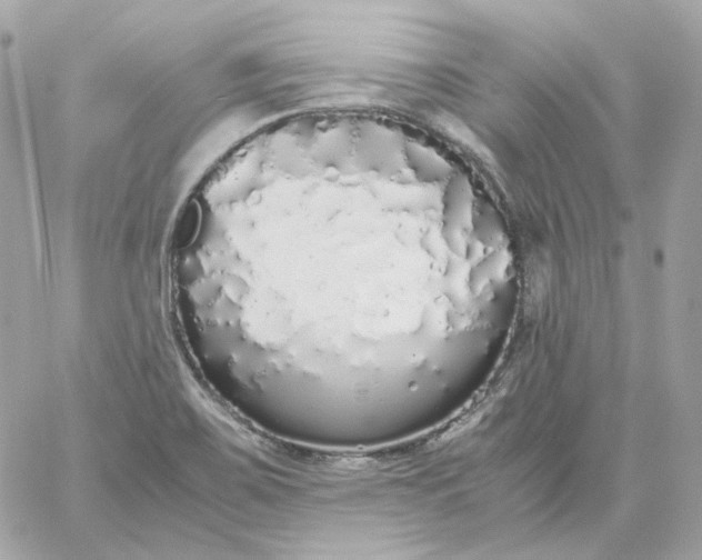 X0000060261467200511112008