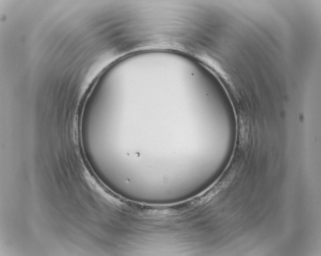 X0000060261468200511112008