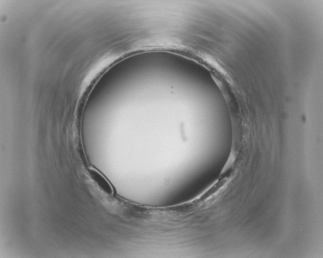 X0000060261469200511112008