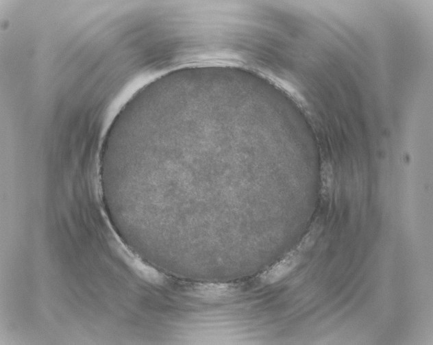 X0000060261470200511112008