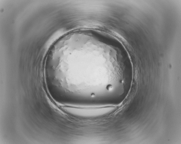 X0000060261471200511112008