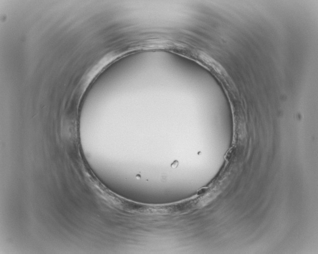 X0000060261473200511112008