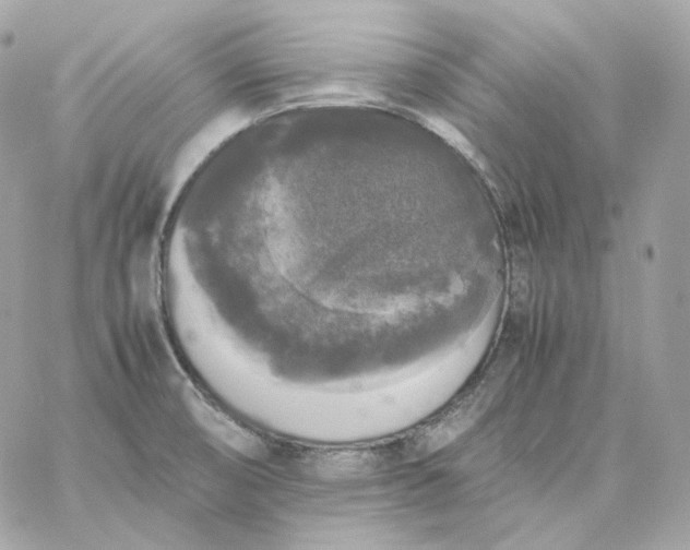 X0000060261474200511112008