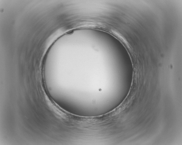 X0000060261475200511112008