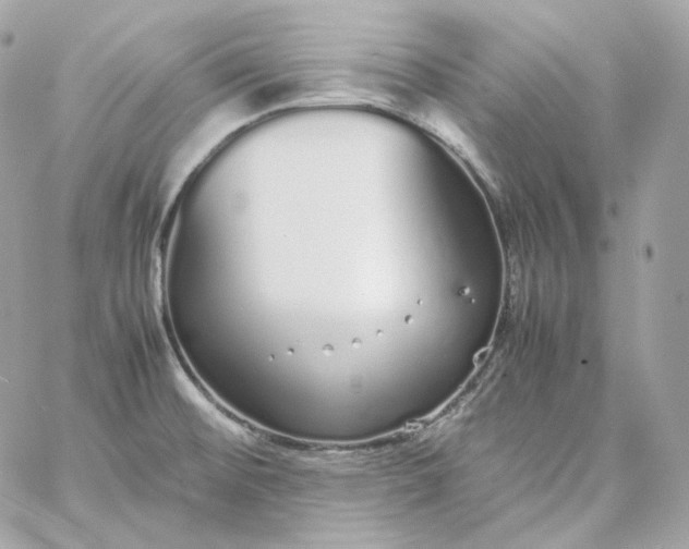 X0000060261476200511112008