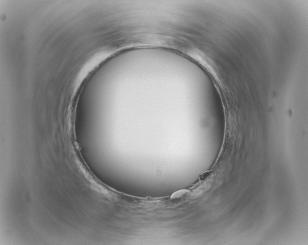 X0000060261477200511112008