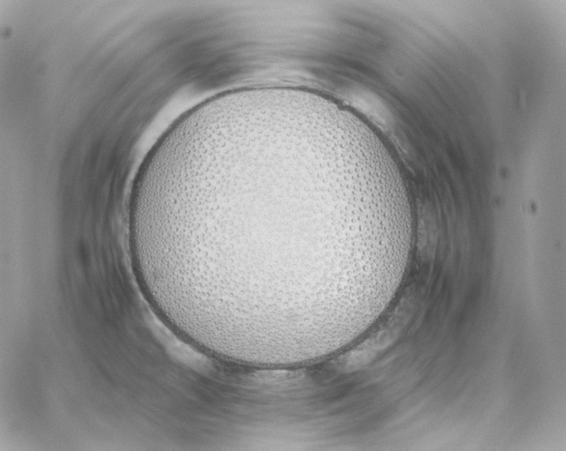 X0000060261478200511112008