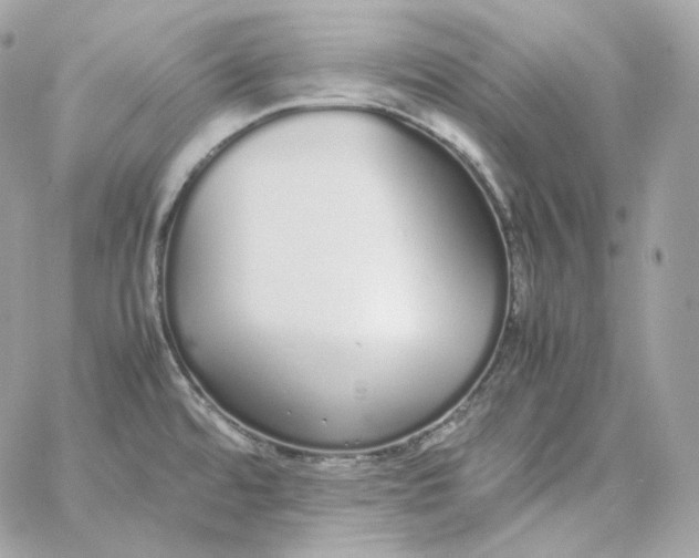 X0000060261480200511112008