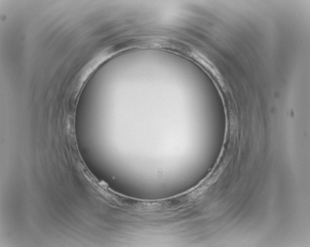 X0000060261481200511112008