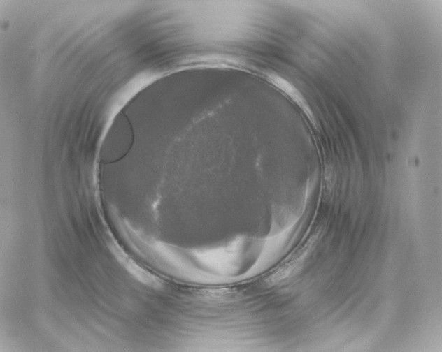 X0000060261482200511112008