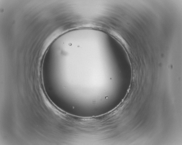 X0000060261483200511112008