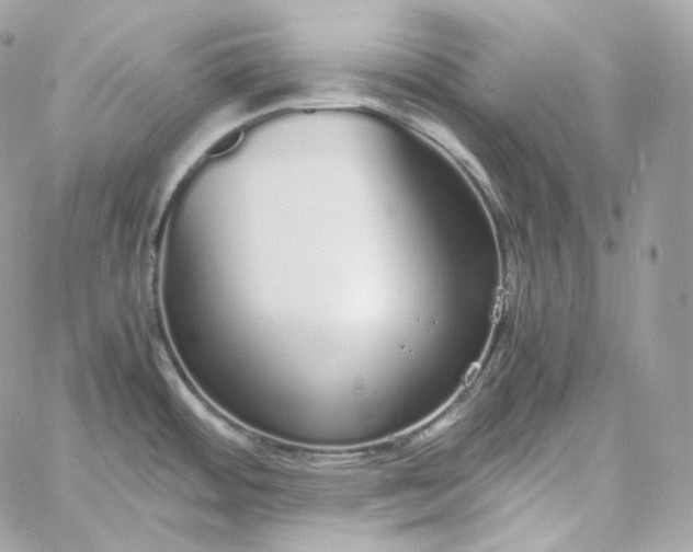 X0000060261484200511112008