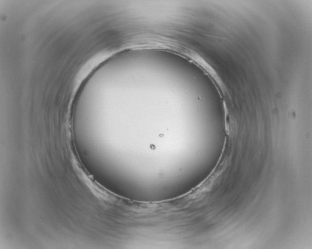 X0000060261485200511112008