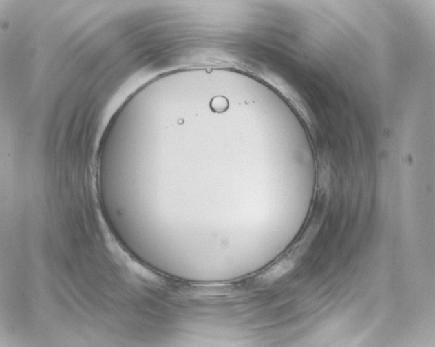 X0000060261486200511112008