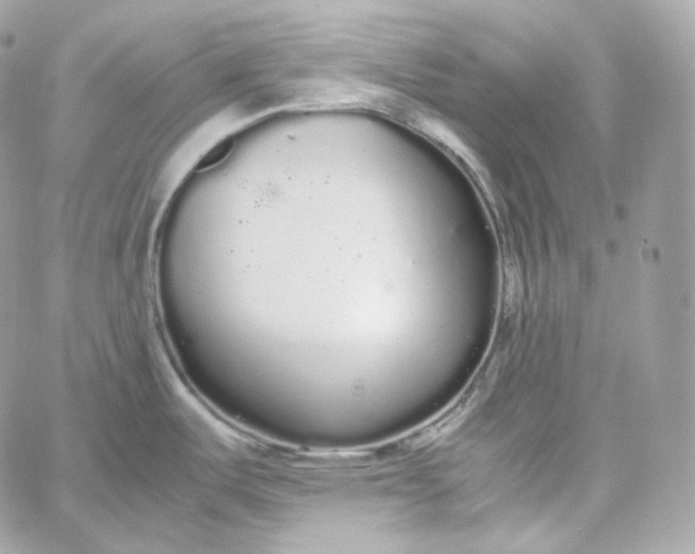 X0000060261487200511112008