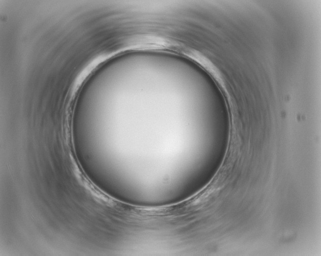 X0000060261488200511112008