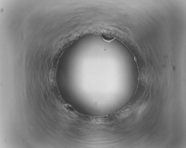 X0000060261490200511112007