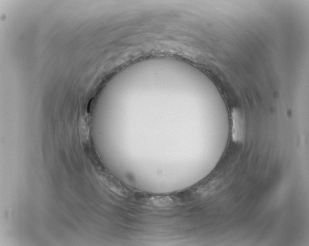 X0000060261491200511112007