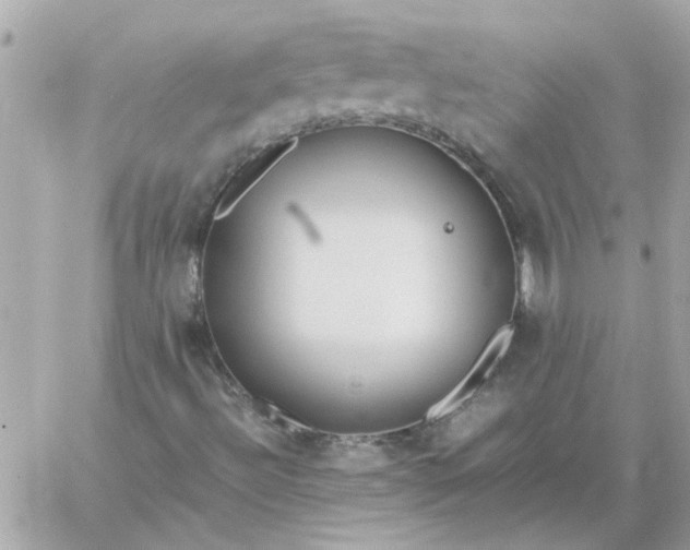 X0000060261492200511112007