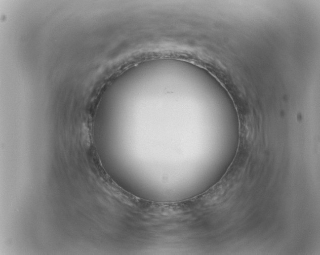 X0000060261493200511112007