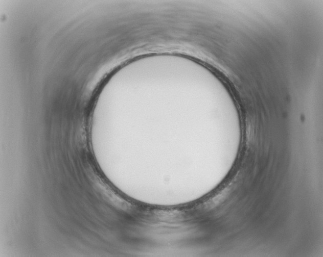 X0000060261498200511112007