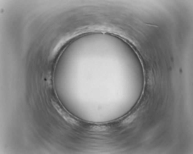 X0000060261499200511112007