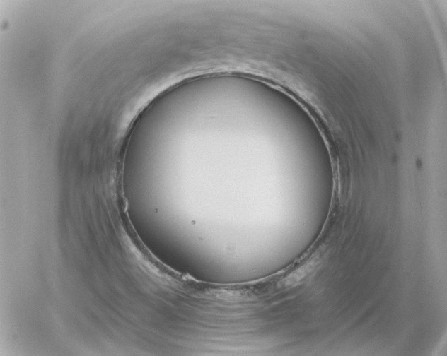 X0000060261500200511112007