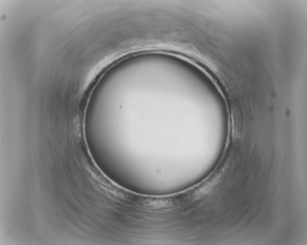 X0000060261501200511112007