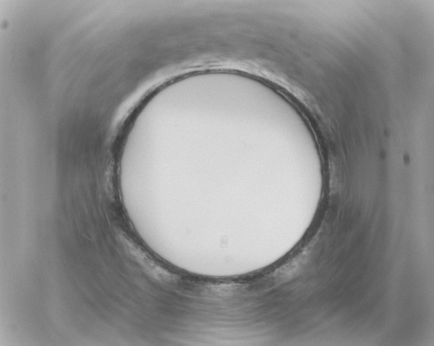 X0000060261502200511112007