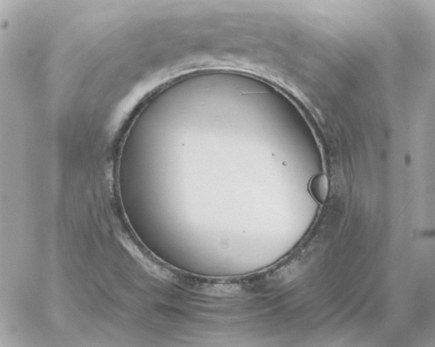 X0000060261503200511112007