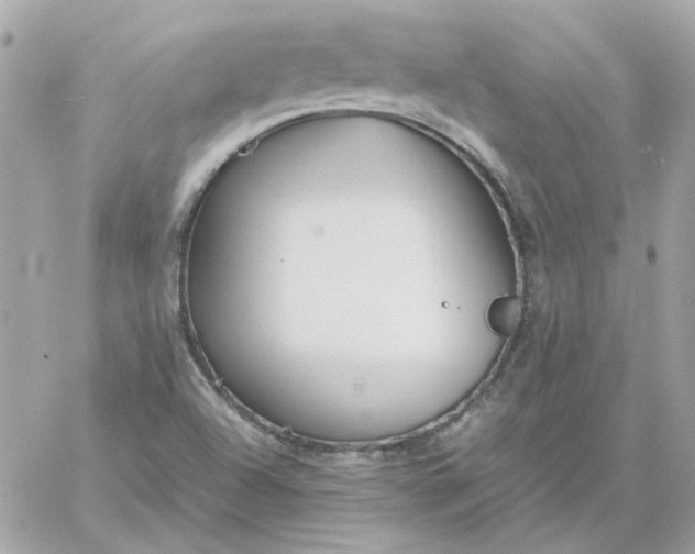 X0000060261504200511112007