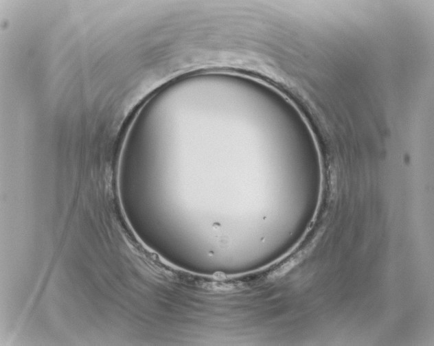 X0000060261505200511112007