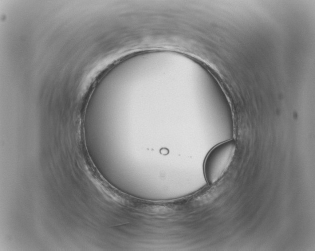 X0000060261507200511112007