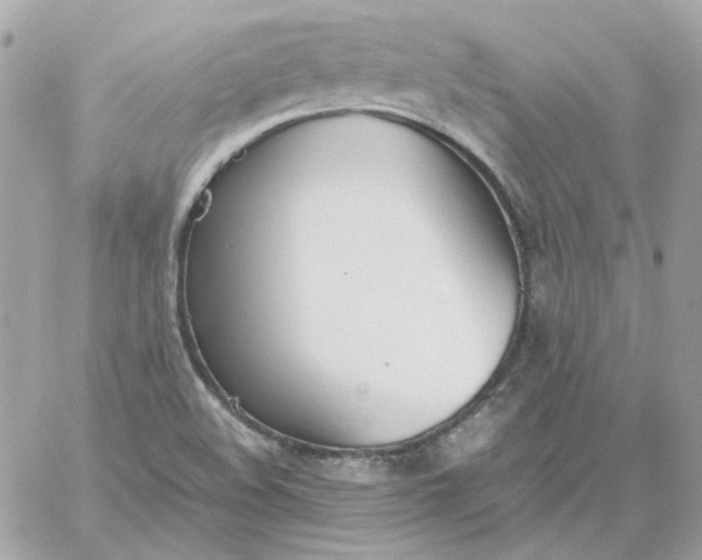 X0000060261508200511112007