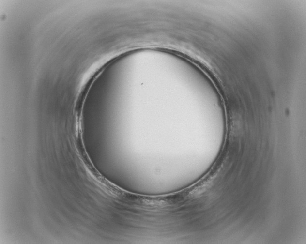 X0000060261509200511112007