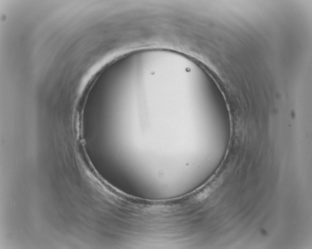 X0000060261510200511112008