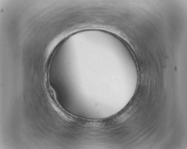 X0000060261511200511112008