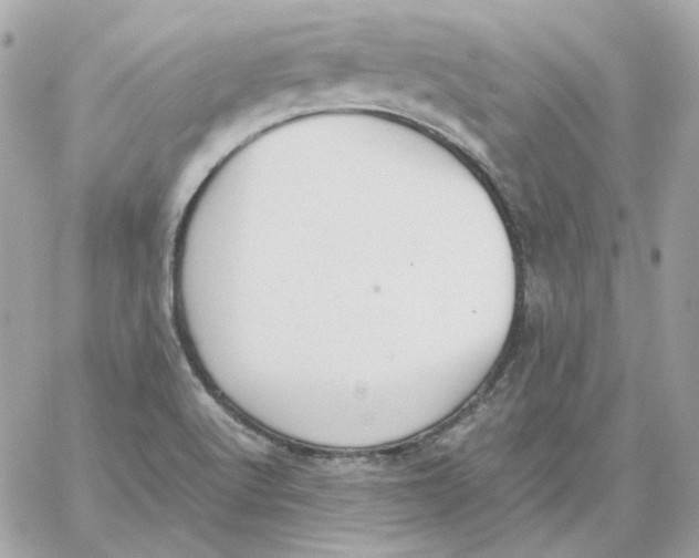 X0000060261512200511112008