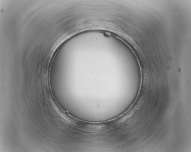 X0000060261513200511112008